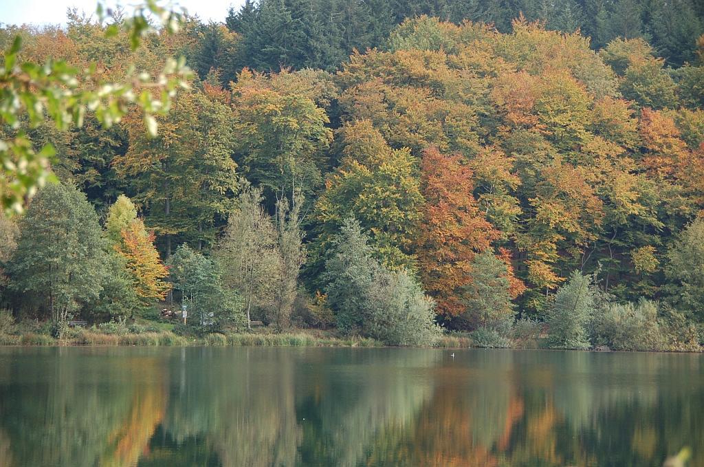 Ferienwohnungen Landgasthaus Janshen Ellscheid Exteriér fotografie