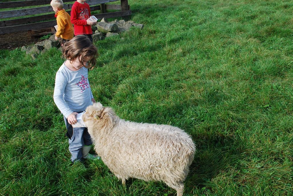 Ferienwohnungen Landgasthaus Janshen Ellscheid Pokoj fotografie